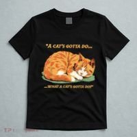 Cat Lover Sleeping Cat A Cats Gotta Do Funny Cat Saying T-Shirt thumb 5