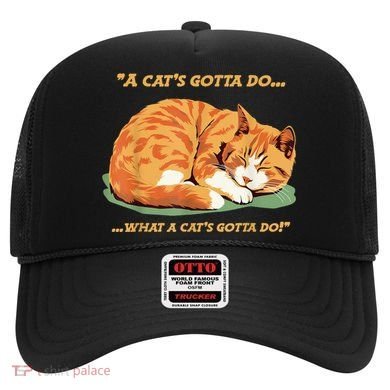 Cat Lover Sleeping Cat A Cats Gotta Do Funny Cat Saying Hat