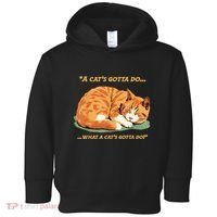 Cat Lover Sleeping Cat A Cats Gotta Do Funny Cat Saying Toddler Hoodie thumb 0