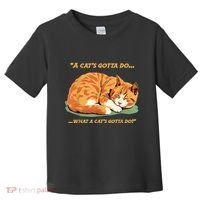 Cat Lover Sleeping Cat A Cats Gotta Do Funny Cat Saying Toddler T-Shirt thumb 0
