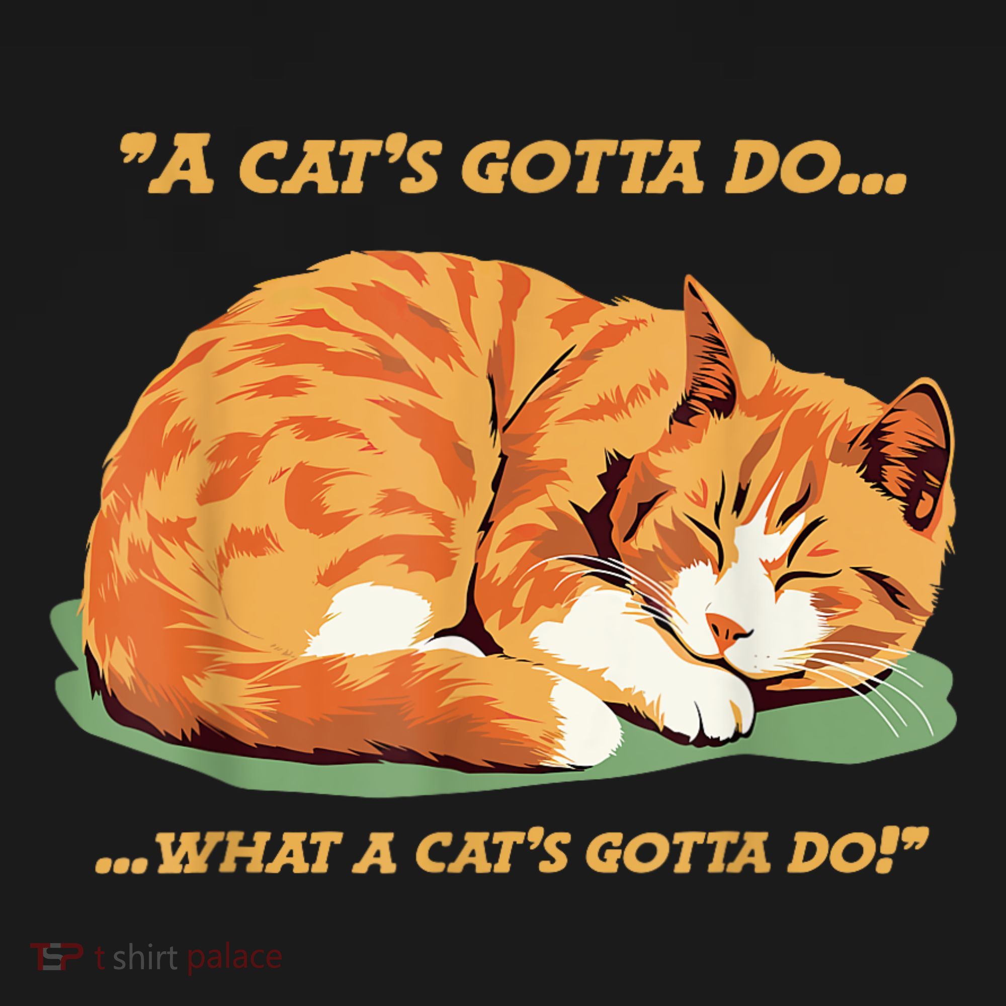 Cat Lover Sleeping Cat A Cats Gotta Do Funny Cat Saying Visor