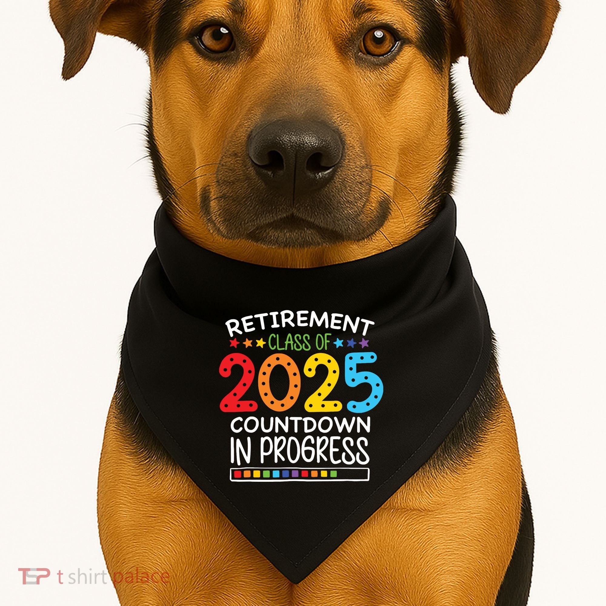Countdown Loading Teacher USA-Made Doggie Bandana