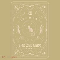 Cat Lady Tarot Card Mystical Witchy Moon Phase Pet Cat T-Shirt thumb 7