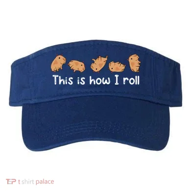 Visor