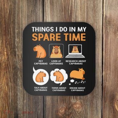 Capybara Lover Things I Do In My Spare Time Coaster