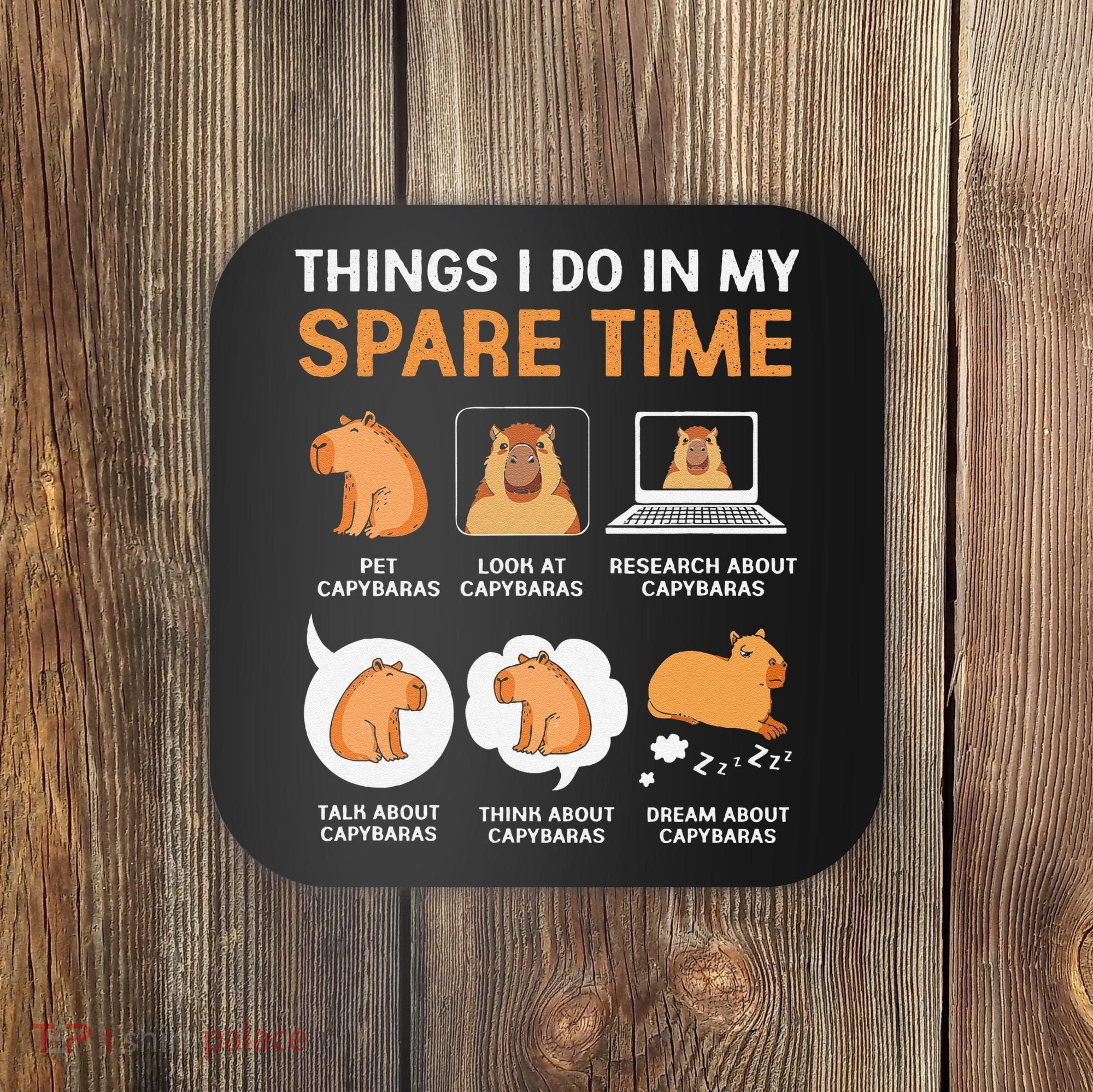 Capybara Lover Things I Do In My Spare Time Coaster
