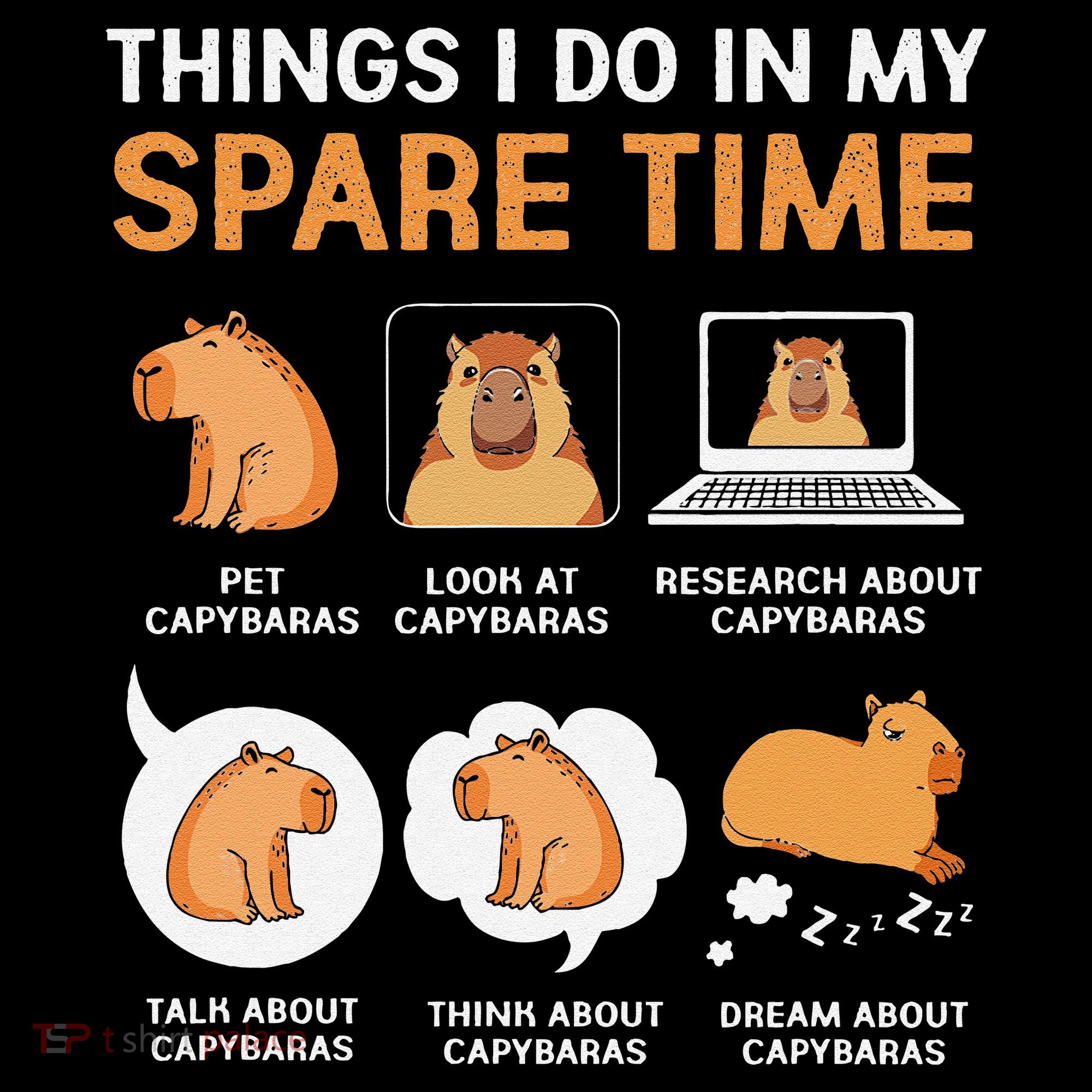Capybara Lover Things I Do In My Spare Time Women's Tank Top