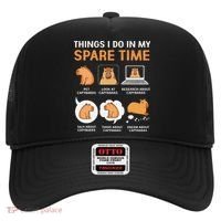 Capybara Lover Things I Do In My Spare Time Hat thumb 0