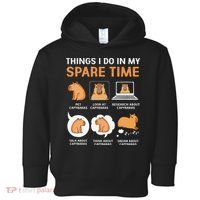Capybara Lover Things I Do In My Spare Time Toddler Hoodie thumb 0