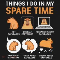 Capybara Lover Things I Do In My Spare Time Women's T-Shirt thumb 6