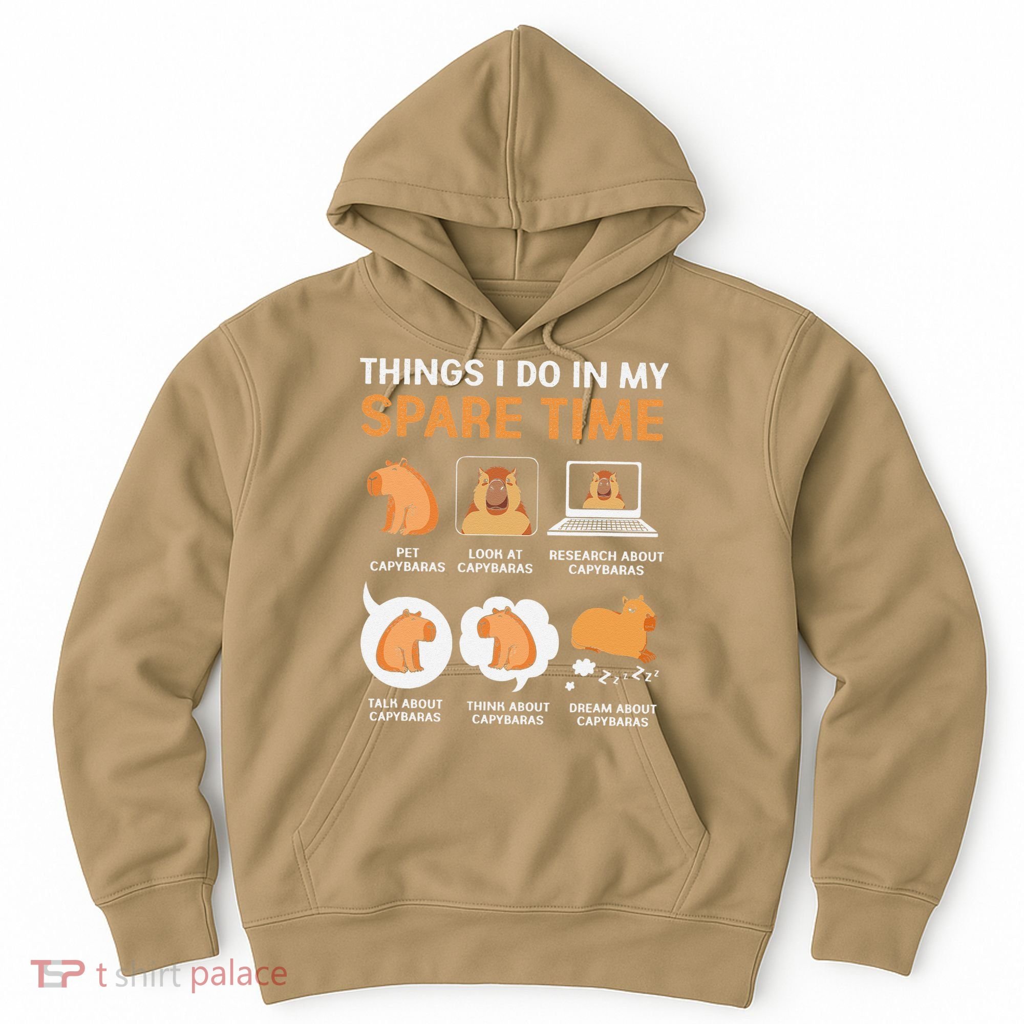 Capybara Lover Things I Do In My Spare Time Hoodie