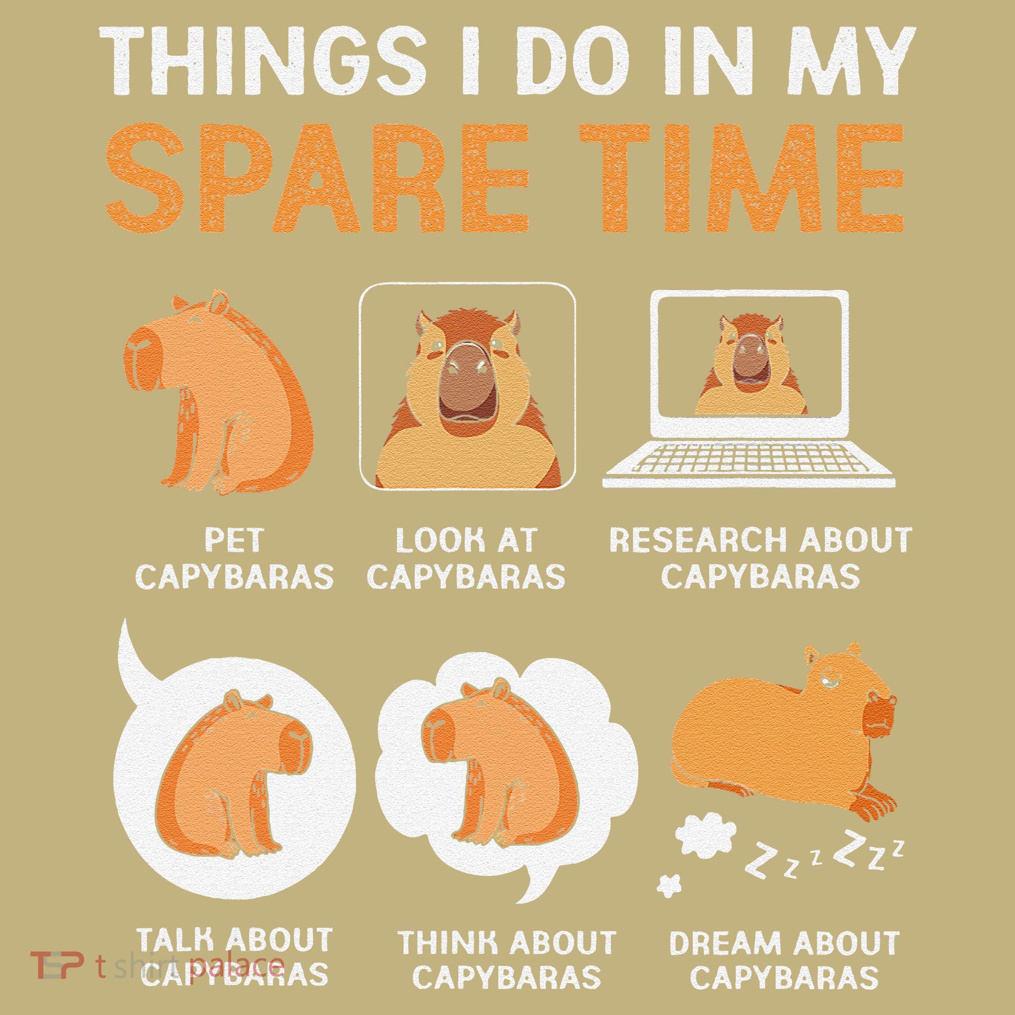 Capybara Lover Things I Do In My Spare Time Hoodie