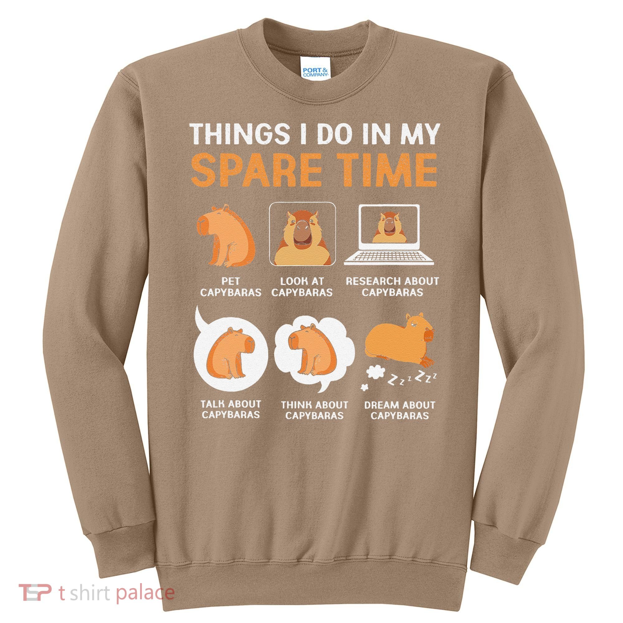 Capybara Lover Things I Do In My Spare Time Sweatshirt
