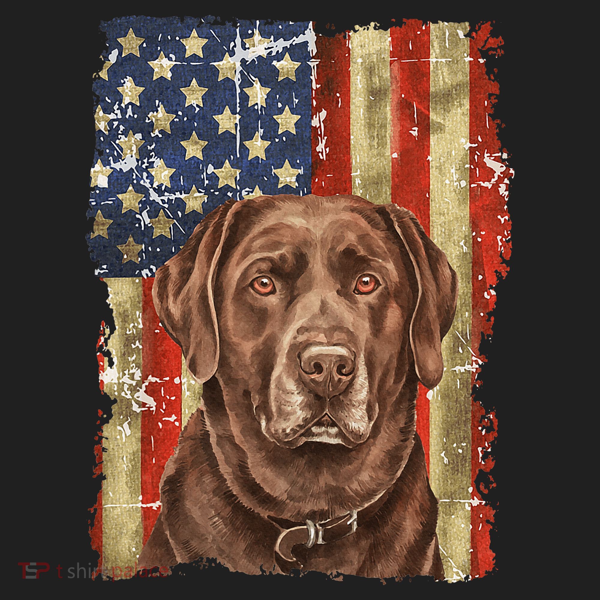 Chocolate Lab With USA Flag Gift  Hat
