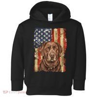 Chocolate Lab With USA Flag Gift  Toddler Hoodie thumb 0