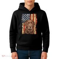 Chocolate Lab With USA Flag Gift  Kids Hoodie thumb 4