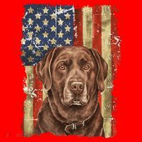Chocolate Lab With USA Flag Gift  Santa Hat thumb 1
