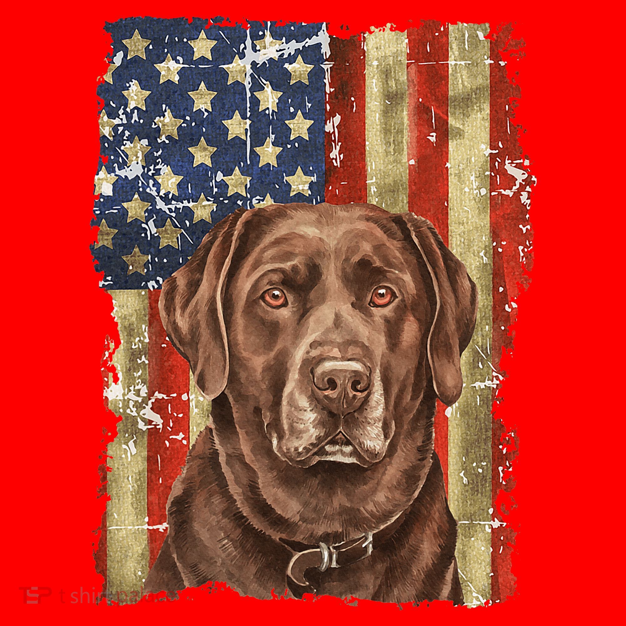 Chocolate Lab With USA Flag Gift  Santa Hat
