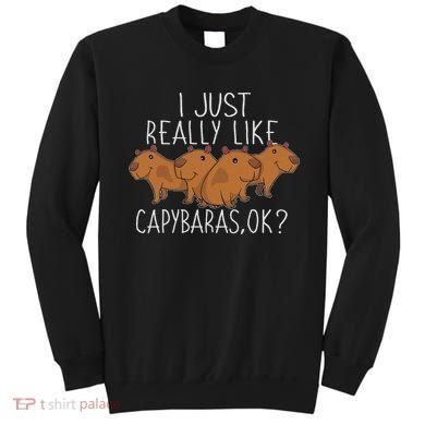 Capybara Lover Women Cute Capybara Sweatshirt