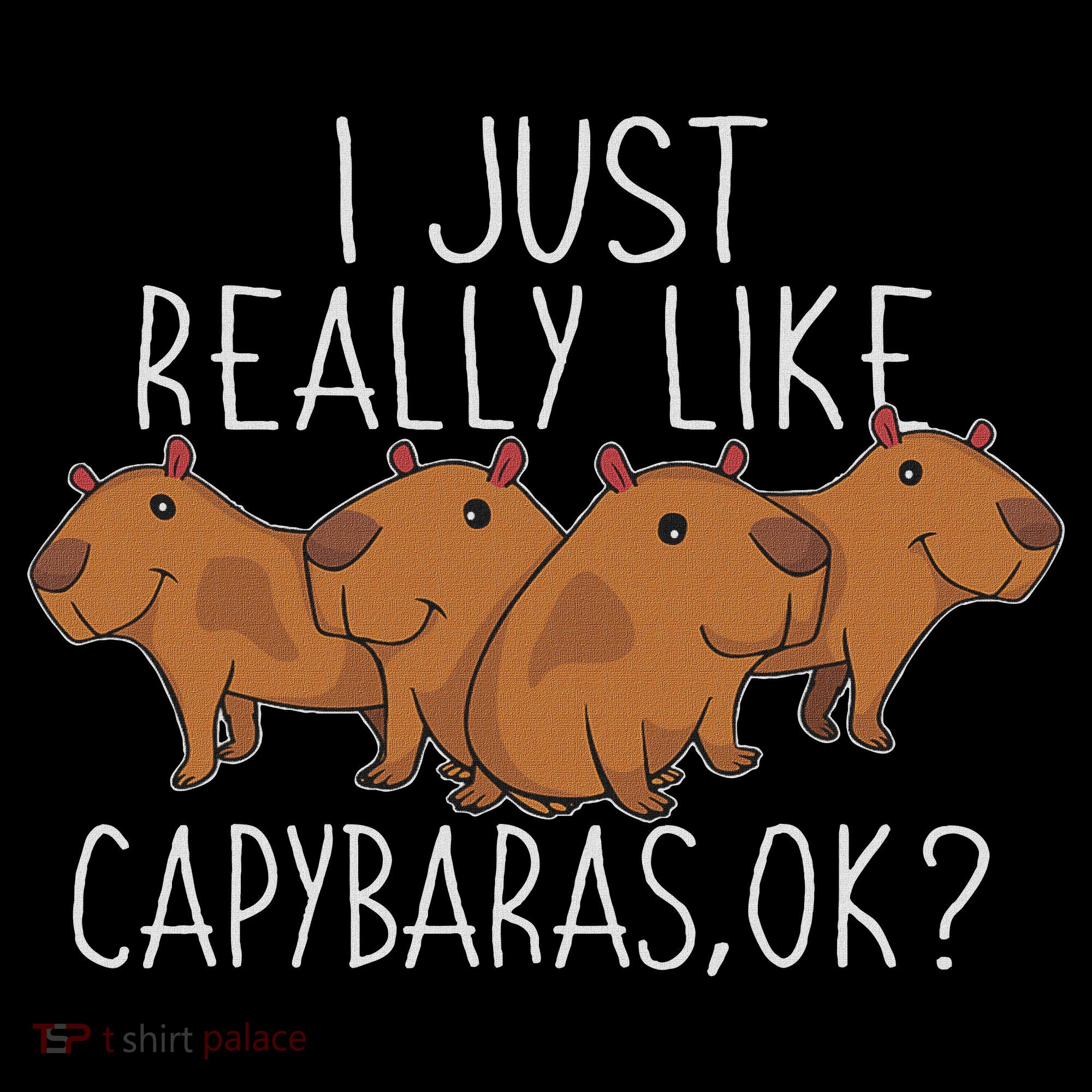 Capybara Lover Women Cute Capybara Women's Hoodie