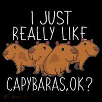 Capybara Lover Women Cute Capybara Ornament thumb 1