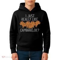 Capybara Lover Women Cute Capybara Kids Hoodie thumb 4