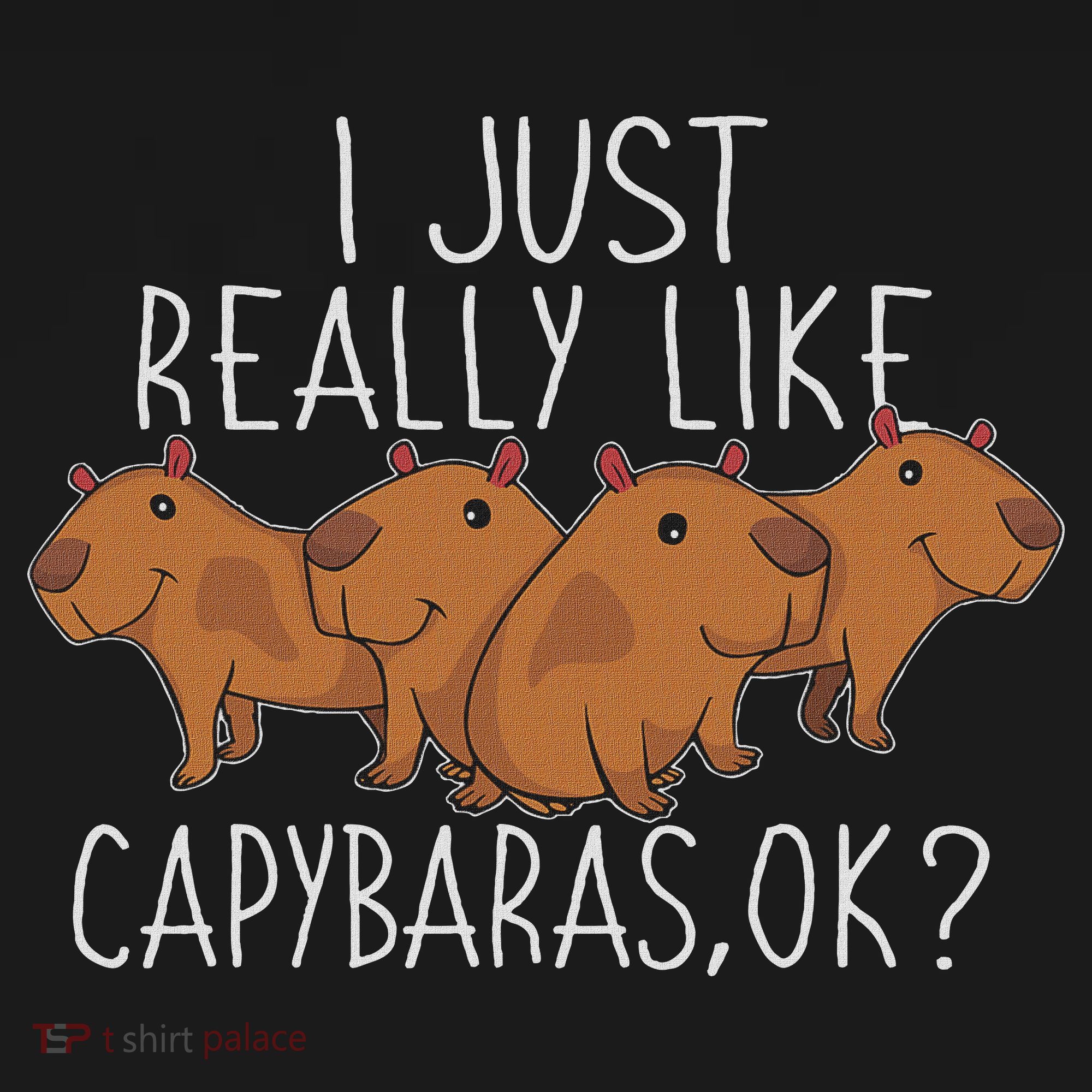 Capybara Lover Women Cute Capybara Kids T-Shirt