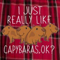Capybara Lover Women Cute Capybara Women's Flannel Plaid Pajama Pants thumb 2