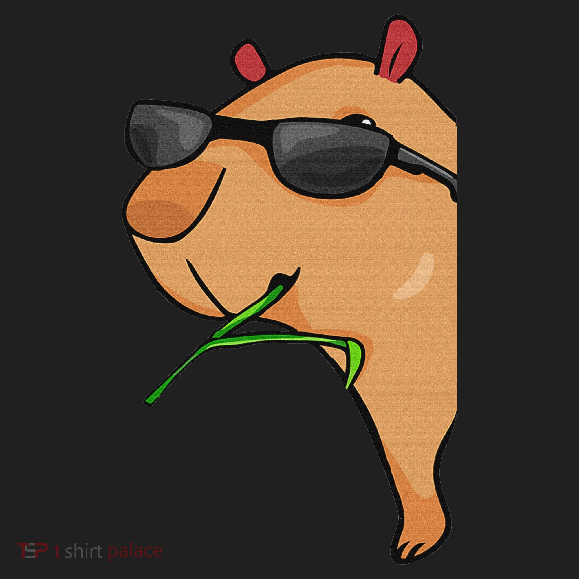 Capybara Lover Women Capybara Hat
