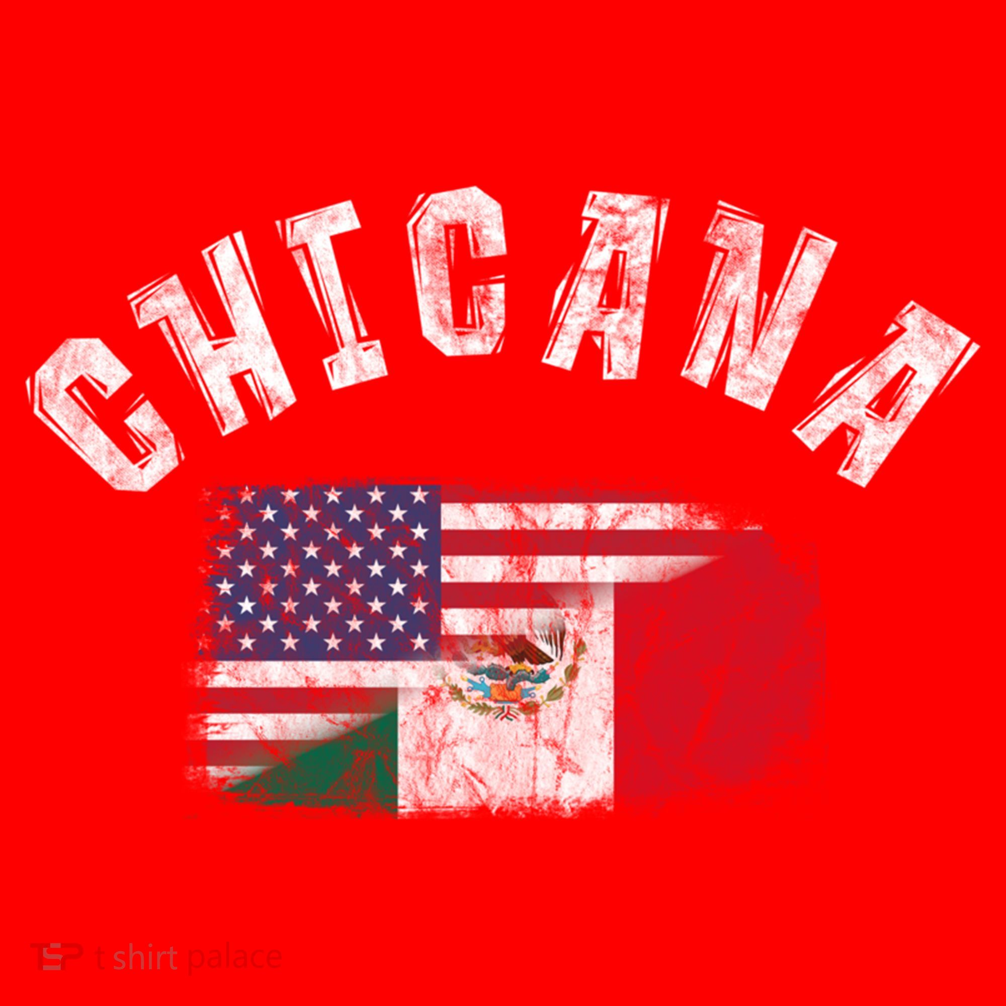 Chicana Mexican American Flag Mexico United States Latina Meaningful Gift Santa Hat