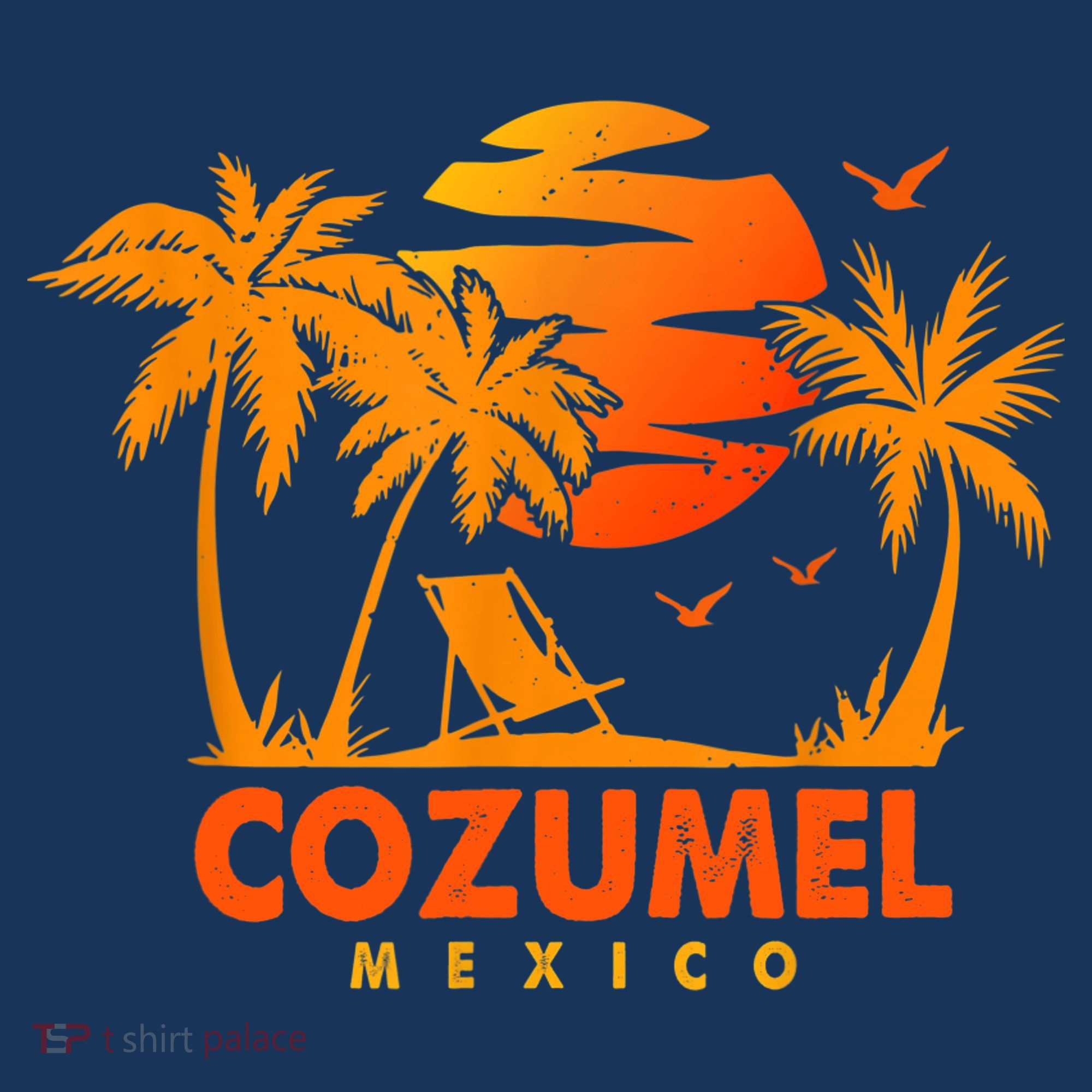 COZUMEL Mexico Beach Vacation Spring Break Honeymoon Vintage T-Shirt