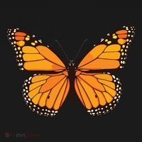 Cute Monarch Butterfly Backpack thumb 2