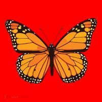 Cute Monarch Butterfly Santa Hat thumb 1