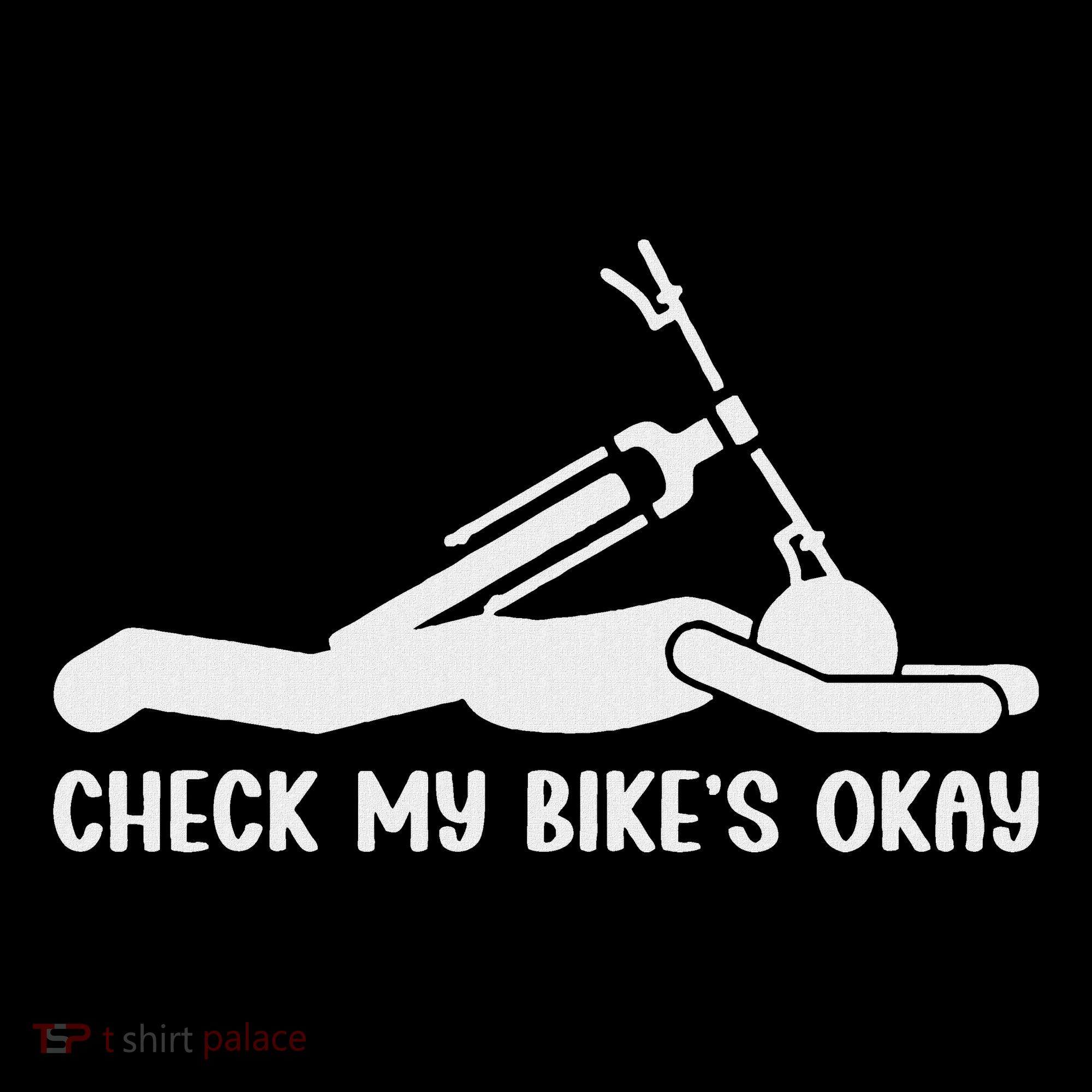 Check My Bike’S Okay Ornament