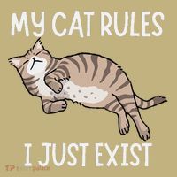 Cute My Cat Clothing My Cat Rules I Just Exist Hoodie thumb 7