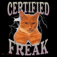 Cat Meme Certified Freak Bucket Hat thumb 4