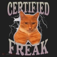 Cat Meme Certified Freak Beanie thumb 2