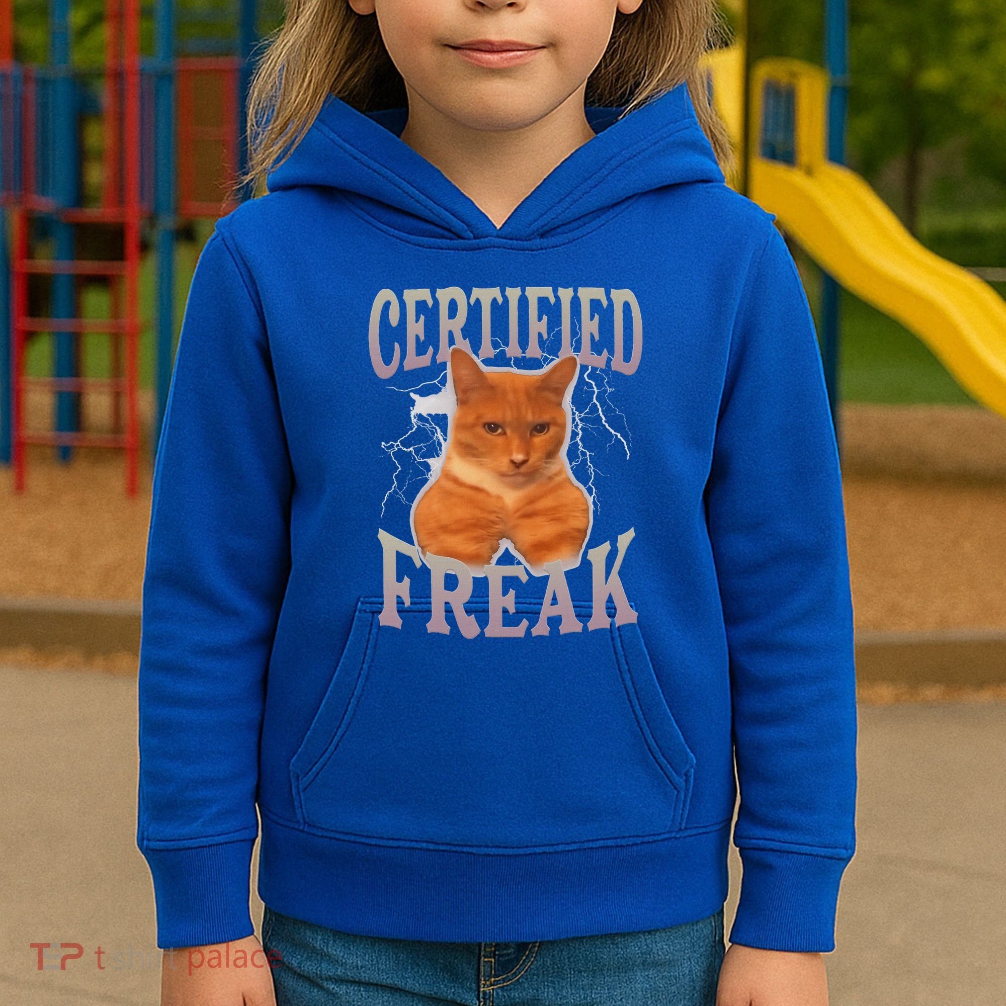 Cat Meme Certified Freak Kids Hoodie