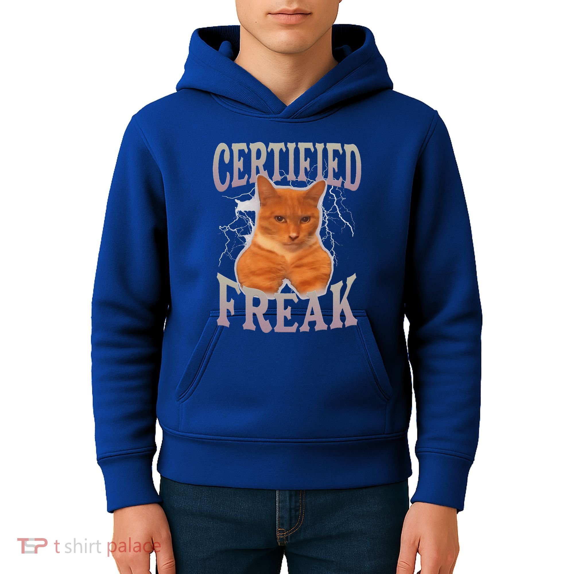 Cat Meme Certified Freak Kids Hoodie