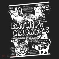 Catnip Madness Cute Kitten Cat Lover Gift For Cat Owners Beanie thumb 2