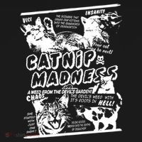 Catnip Madness Cute Kitten Cat Lover Gift For Cat Owners Women's Hoodie thumb 2