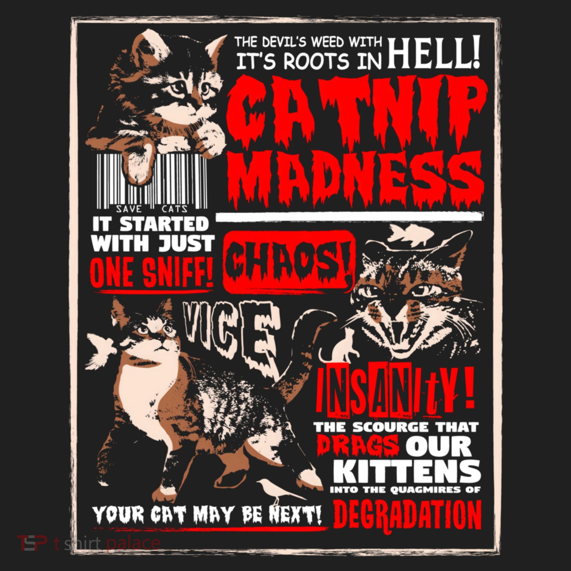 Catnip Madness Cute Kitten Cat Lover Gift For Cat Owners Beanie