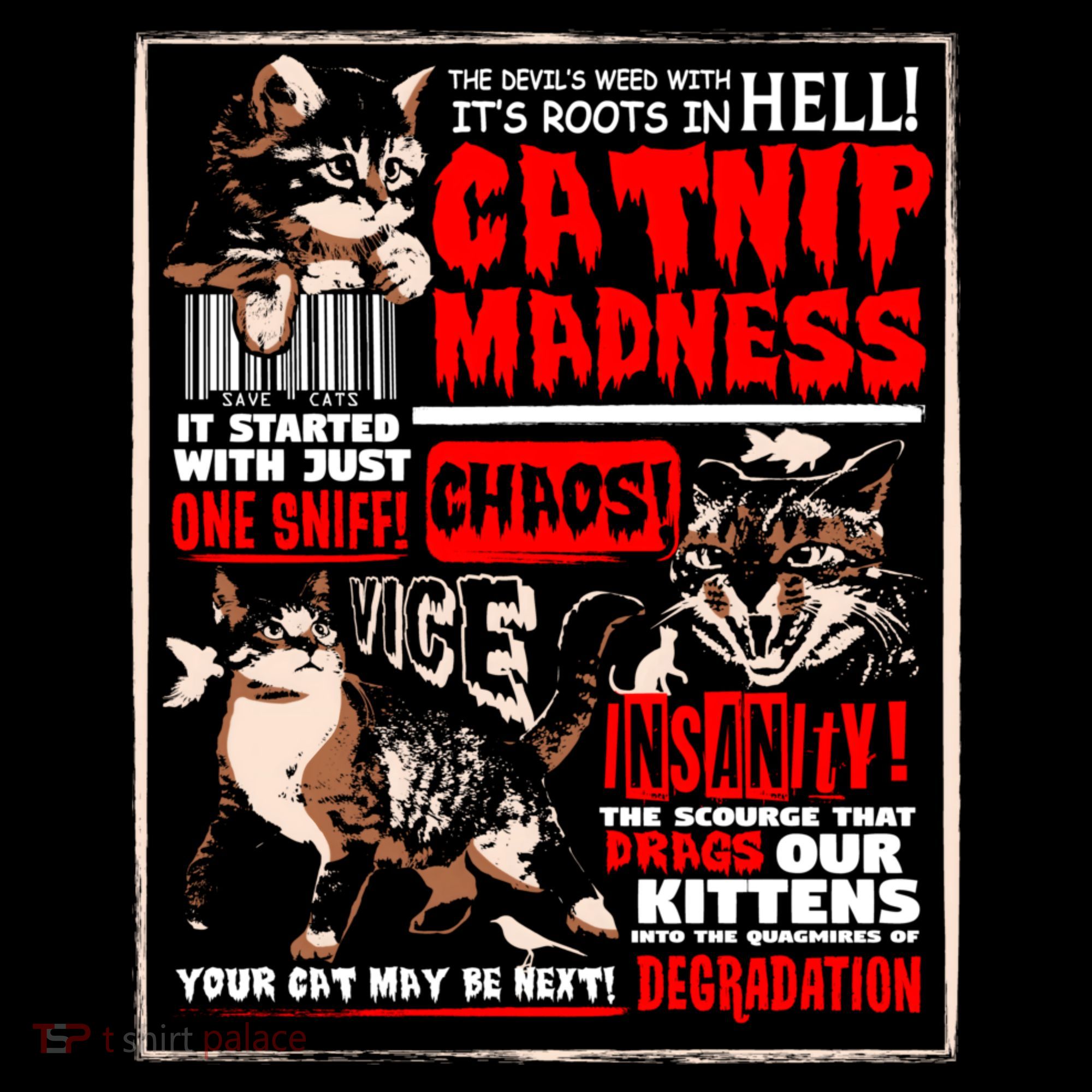 Catnip Madness Cute Kitten Cat Lover Gift For Cat Owners Women's Hoodie