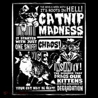 Catnip Madness Cute Kitten Cat Lover Gift For Cat Owners Coffee Mug thumb 5