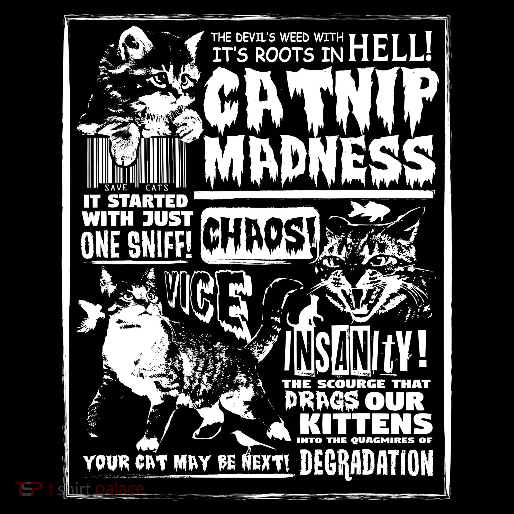 Catnip Madness Cute Kitten Cat Lover Gift For Cat Owners Women's Hoodie