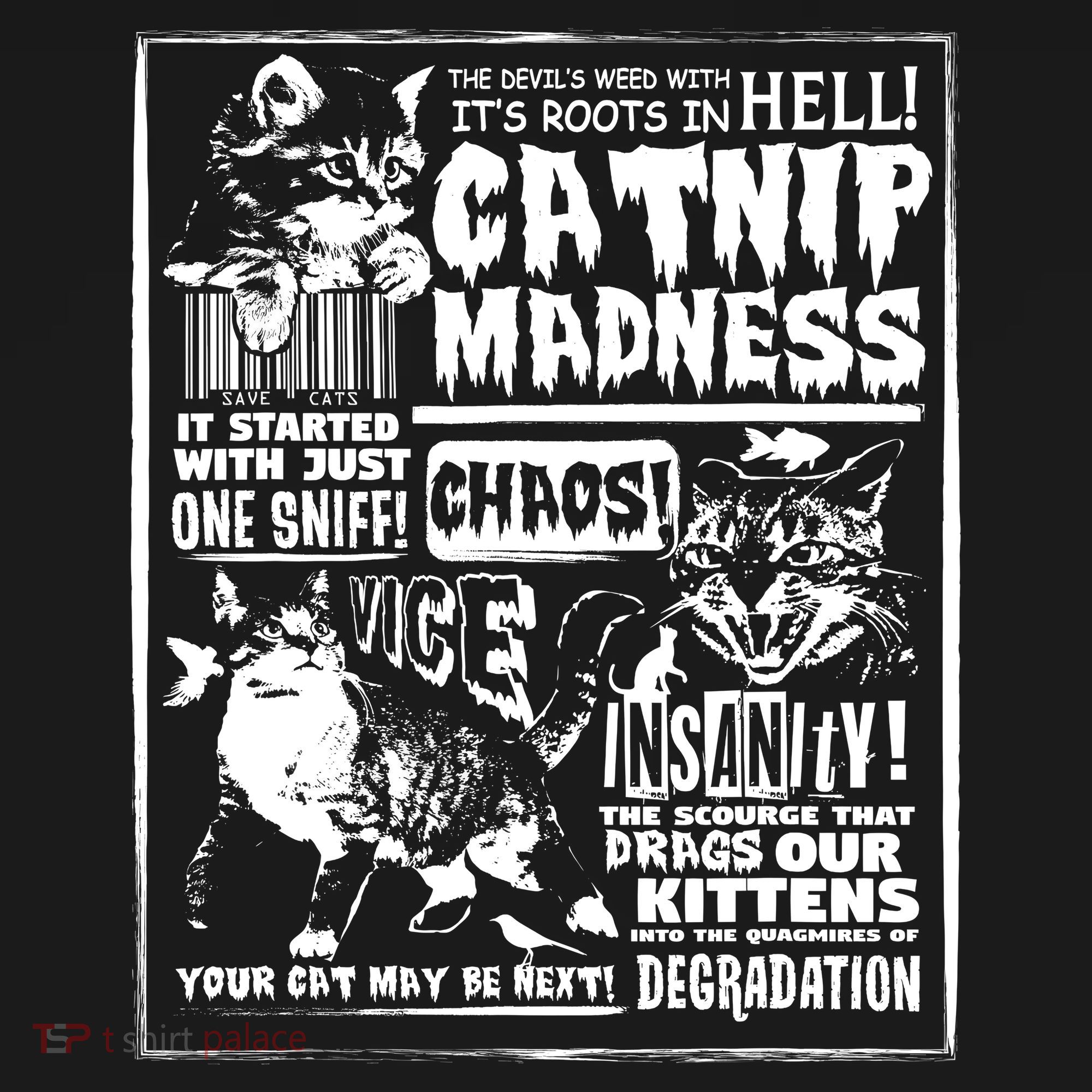 Catnip Madness Cute Kitten Cat Lover Gift For Cat Owners Women's T-Shirt