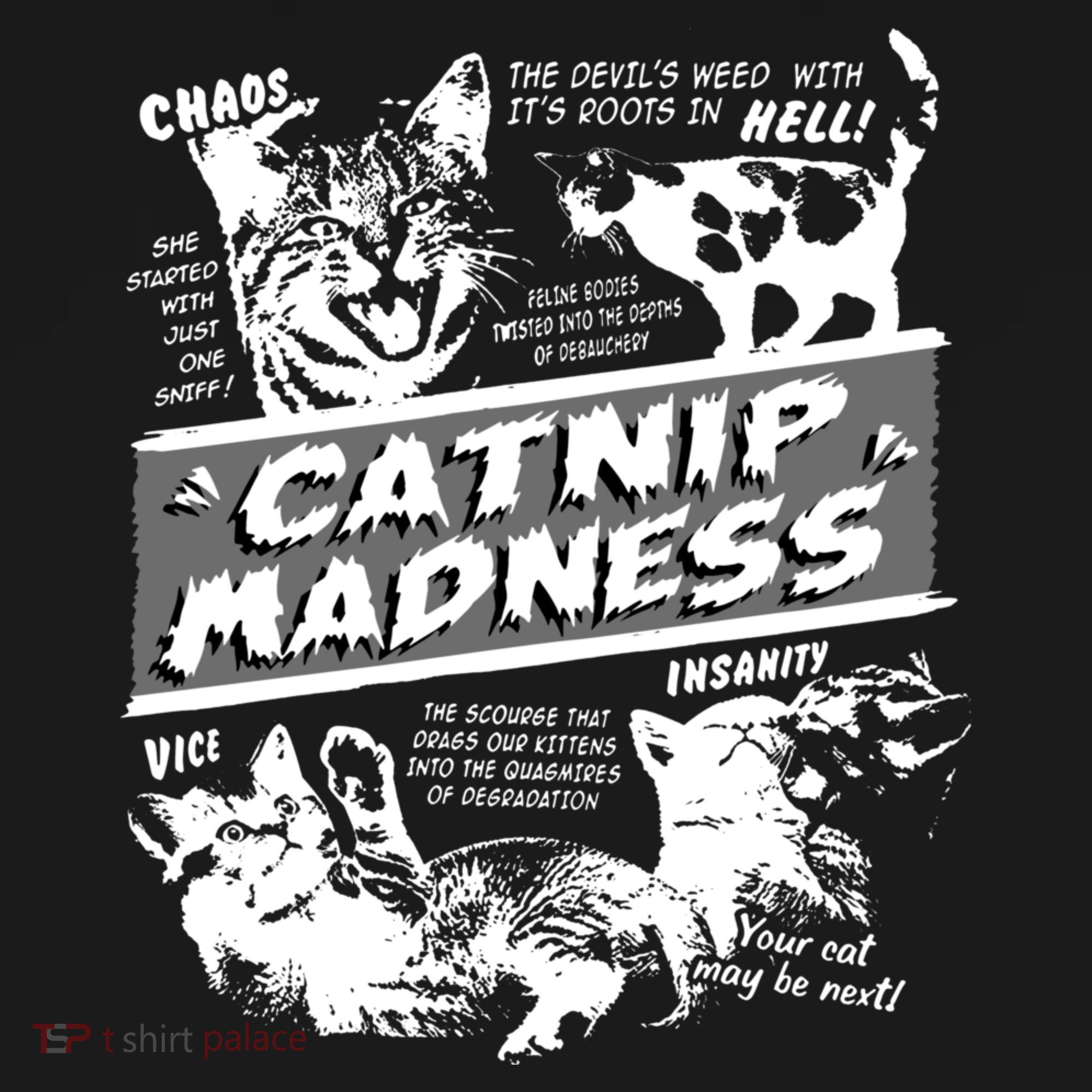 Catnip Madness Cute Kitten Funny Cat Pet Humor Women's T-Shirt