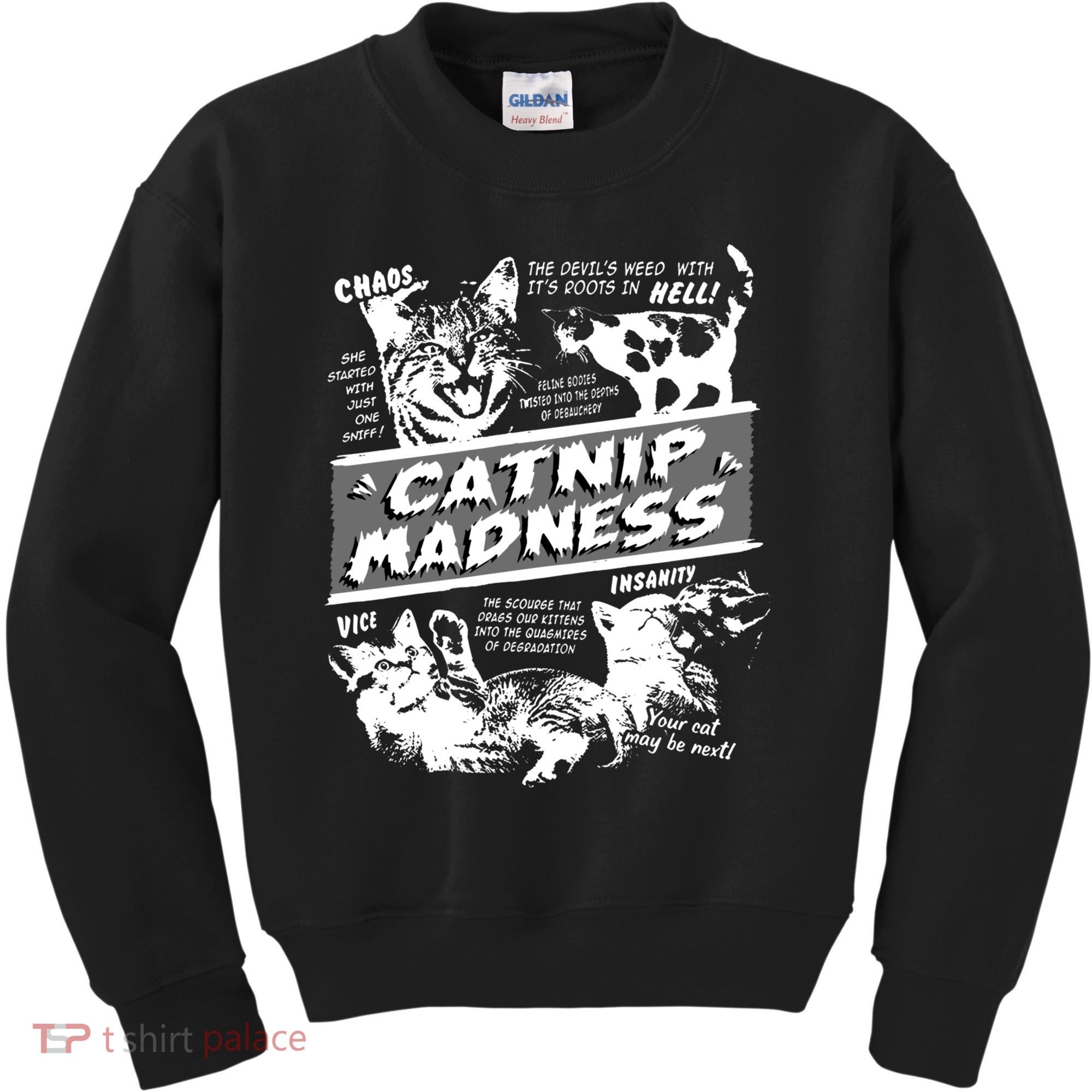Catnip Madness Cute Kitten Funny Cat Pet Humor Kids Sweatshirt