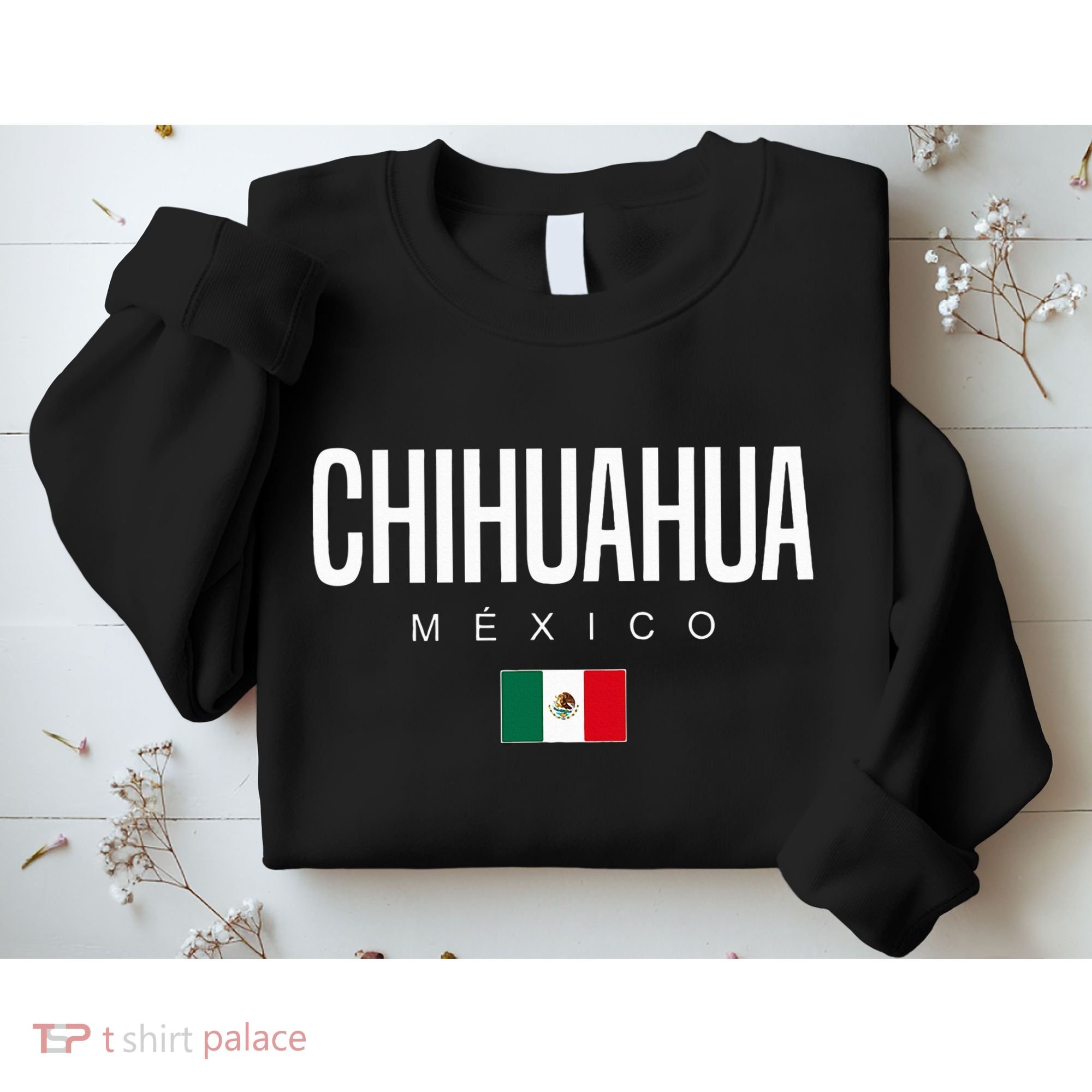Chihuahua Mexico Sweatshirt