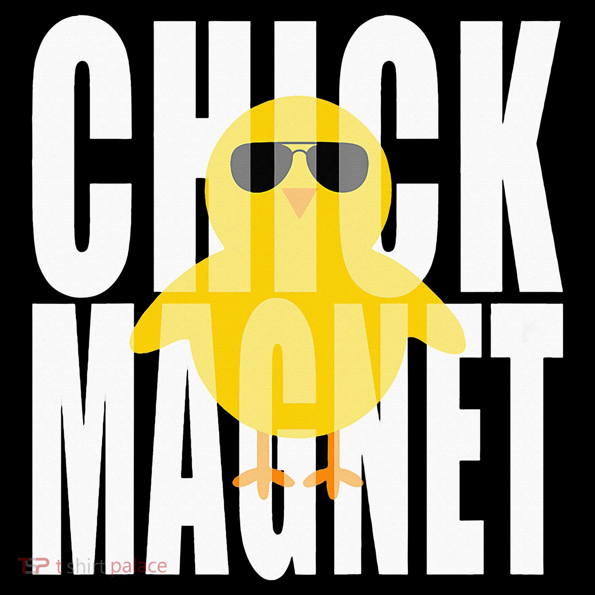 Chick Magnet Cute Easter Baby Chicken Sunglasses Art Hoodie